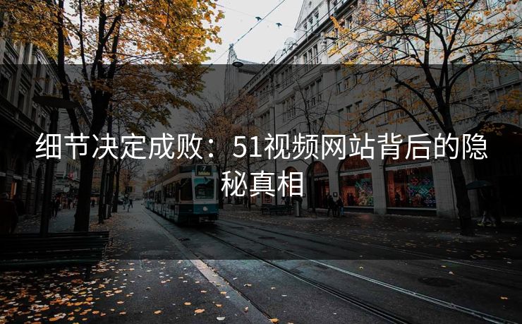 细节决定成败:51视频网站背后的隐秘真相 细节决定成败:51视频网站背后的隐秘真相